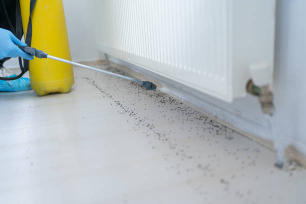 Best Pest Prevention Services  in Mulino, OR